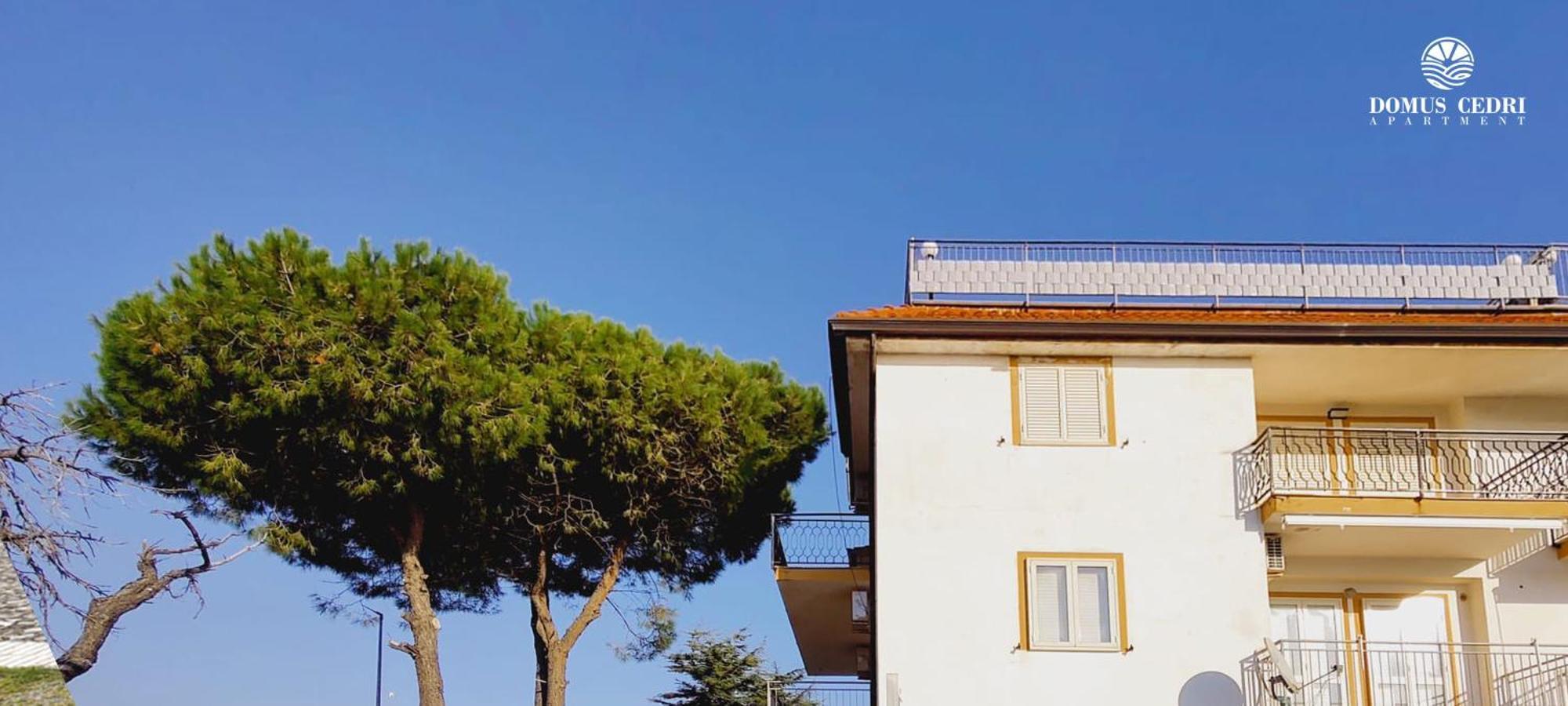 Domus Cedri Apartment Santa Maria Del Cedro Buitenkant foto