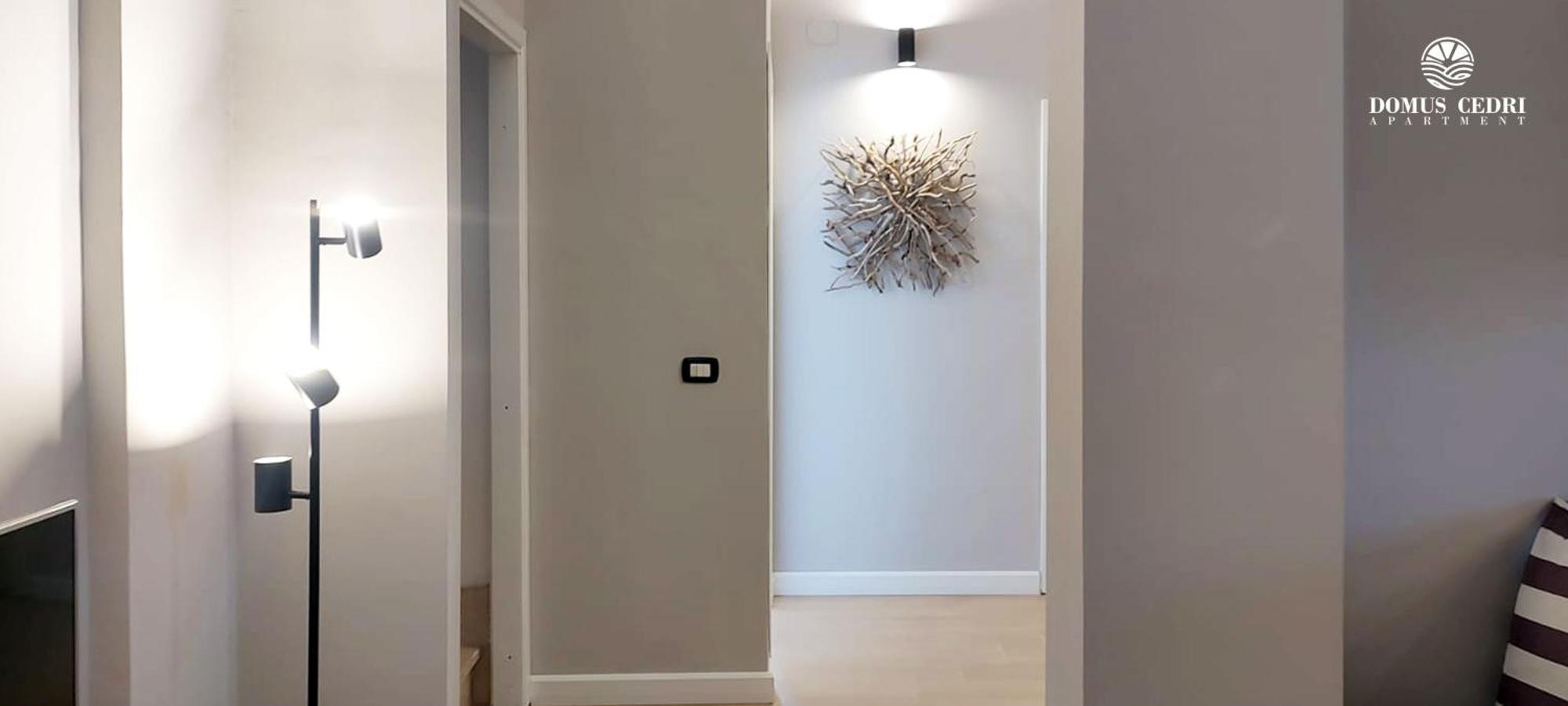 Domus Cedri Apartment Santa Maria Del Cedro Buitenkant foto